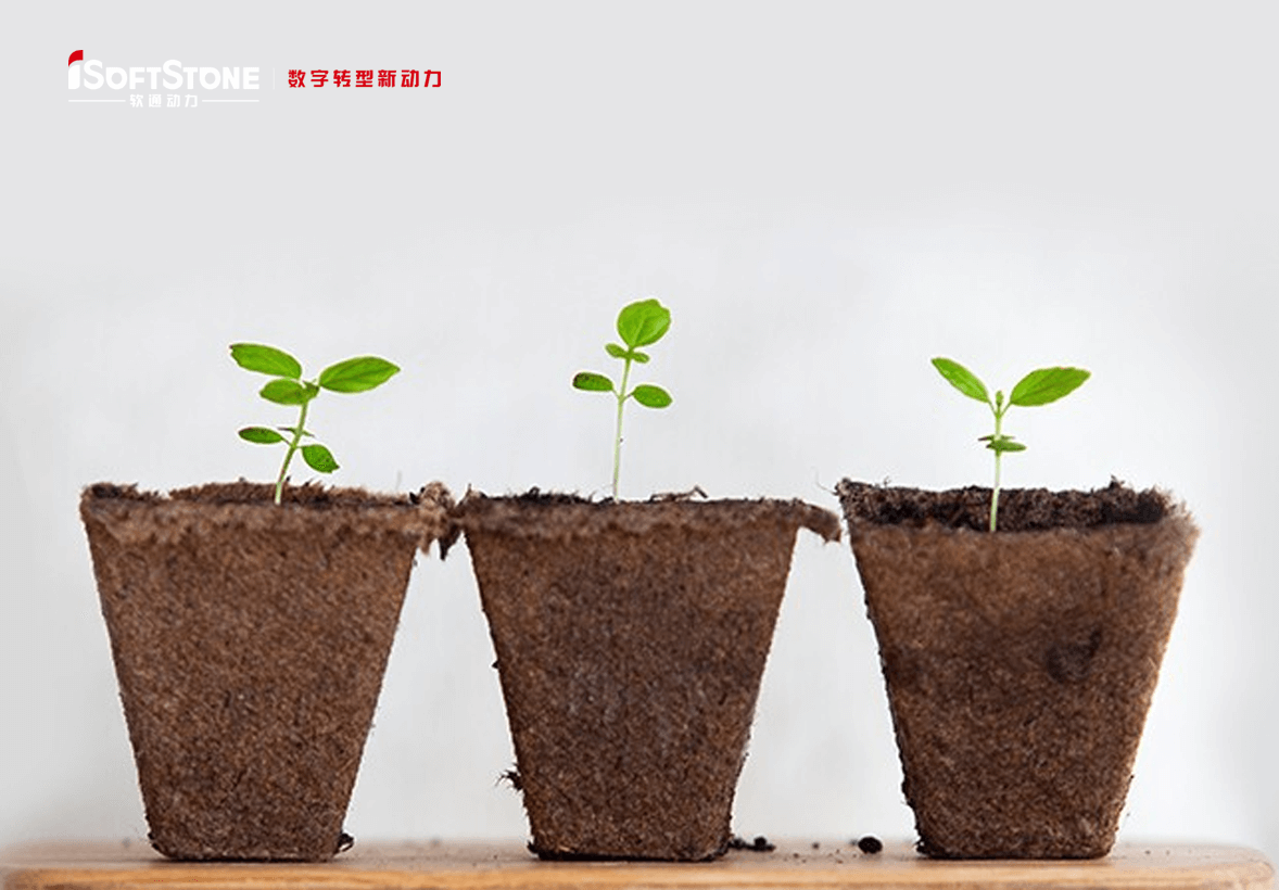 ѧ�g�ľ@�A���ܤθ�������ǵط����ӹ������ːۤ�ɤ�����iSoftStone���٤ӹ�������������֧Ԯ��������