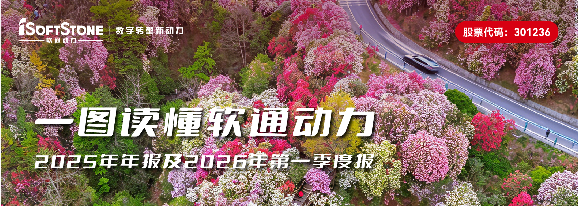 һͼ����bbin��ӯ����2025���걨��2026���һ���ȱ�