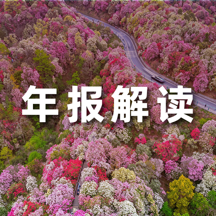 bbin��ӯ����2025Ӫ������˫��������������ȫջ������������������������AI���Ӫҵ����ռ�ȴ�52.6%  ?